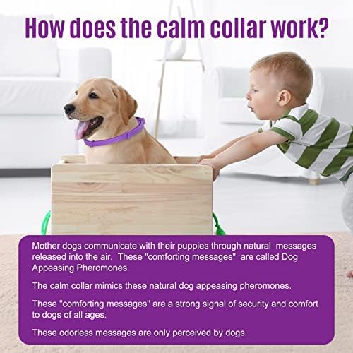 Calming Collar for Dogs, Dog Anxiety Relief, Adjustable Dog Calming Collar, Sustained Release Pheromone, Suitable for All Dogs with Separation Anxiety&Stress&Fear, Easily Fit in New Environment, 4Pcs - Image 5
