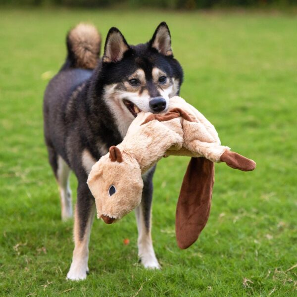 Best Pet Supplies 2-in-1 Stuffless Squeaky Dog Toys with Soft, Durable Fabric for Small, Medium, and Large Pets, No Stuffing for Indoor Play, Holds a Plastic Bottle - 4 Figures, Large - Image 10
