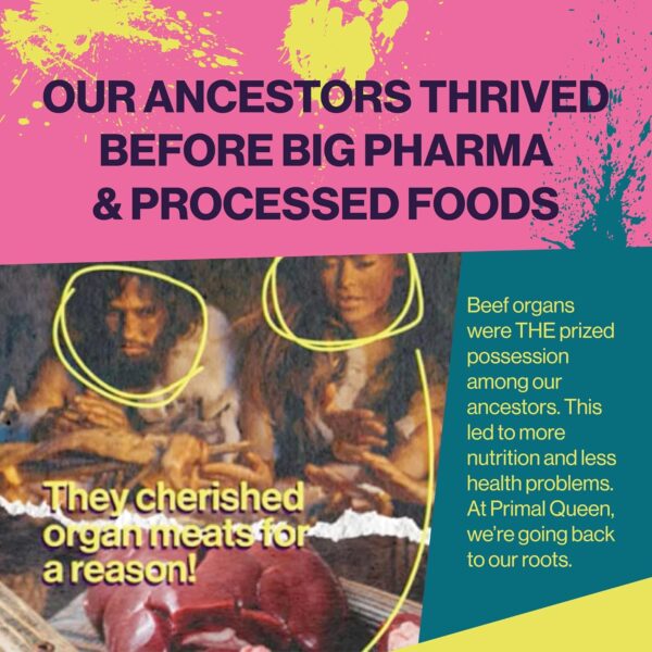 Female-Optimized Beef Organ Superfood Supplement (Beef Liver, Kidney, Heart, & 3 More) - 100% Grass Fed, Pasture Raised Cattle - Balance Hormones, Energy, & More for Women - Image 6