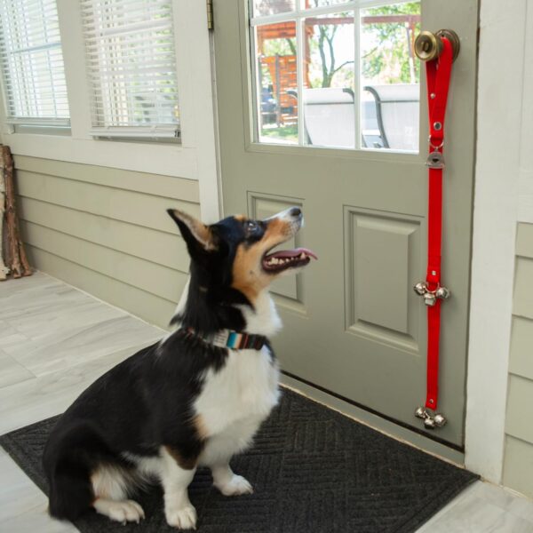 Caldwell's Pet Supply Co. Dog Potty Bells, Dog Door Bell, Bells to Go Outside, Potty Training Bell, Dogs Doorbell, Dogs Potty Doorbell, Ring to Go Pee, All Breed Puppy Training Tool - Image 6